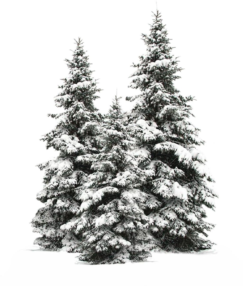 Snowy Tree Overlay